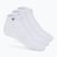 Tecnifibre Low-Cut socks 3 pairs white