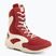 Men's boxing shoes Venum Contender Boxing ruby red/ivory