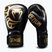 Boxing gloves Venum Giant 2.0 Mike Tyson Pro Boxing black/gold