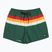 Men's swim shorts Quiksilver Everyday Printed Volley 15" forest outside stripe