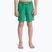 Children's swim shorts Quiksilver Everyday Volley 14" leprechaun