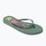 Women's flip-flops ROXY Sandy III oil green