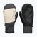 Men's snowboard gloves DC Franchise Mitt 10K oatmeal