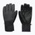 Men's snowboard gloves DC Franchise 10K black