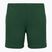 Men's tennis shorts Lacoste GH0138 green