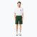 Lacoste men's shorts GH9627 green