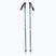 Elan Hotrod blue ski poles