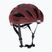 ABUS bicycle helmet Macator bordeaux red