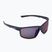 Alpina sunglasses