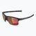 Sunglasses Alpina Eagle Q-Lite black matt/red mirror