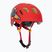 Children's bike helmet Alpina Ximo 2 Jr disney cars