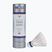 Badminton shuttlecocks VICTOR Nylonshuttle 1000 medium white