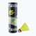 Talbot-Torro Tech 450 badminton shuttlecocks, Premium Nylon 6 pcs yellow 469083