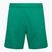 Capelli Sport Cs One Adult Match green/white children's football shorts