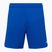 Capelli Sport Cs One Adult Match football shorts royal blue/white