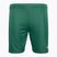Capelli Sport Cs One Youth Match green/white children's football shorts