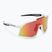 DYNAFIT Trail Evo sunglasses white/black