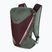 DYNAFIT Traverse 22 l sage/burgundy hiking backpack