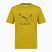 Men's T-shirt Salewa Eagle Geometric olive oil
