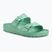Slides BIRKENSTOCK Arizona EVA Narrow bold jade