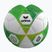 Children's football Erima Hybrid Lite 290 size 5 green gecko/lime