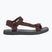 Men's sandals Jack Wolfskin Taiga dark mahogany