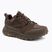 Men's trekking boots Jack Wolfskin Terraquest Texapore Low gecko bear