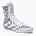 Men's adidas Box Hog 4 grey boxing shoes GZ6118