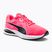 Women's running shoes PUMA Twitch Runner pink 376289 22