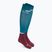 CEP Tall 4.0 men's compression running socks petrol/dark red