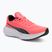 PUMA Scend Pro sunset glow/puma black running shoes