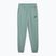 Men's sweatpants PUMA ESS No. 1 Logo Sweatpants TR CL green moon