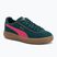 Women's PUMA Club Klassika Suede dark myrtle/puma pink shoes
