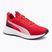PUMA Flyer Lite 3 puma black/for all time red running shoes