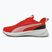 PUMA Flyer Lite 3 puma black/for all time red running shoes