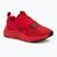Shoes PUMA Softride Wired 2 puma red/puma black