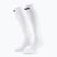CEP Men's compression socks Run Tall 5.0 white