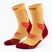 CEP Men's Compression Socks Run Mid Cut 5.0 marigold/burgundy