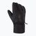 Men's ski gloves Descente 5 Finger Leather black