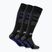 Ski socks Surfanic Pro Tech Plus 3 pak brilliant blue