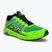 Men's running shoes Inov-8 Trailfly G 270 V2 green 001065