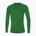 Men's running longsleeve Mizuno Core Underwear green/black