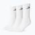 Men's socks Boxraw Crew 3 szt. White