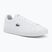 Men's shoes Lacoste Lerond Set white/white