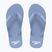 Men's flip-flops Speedo Flip Flop curious blue