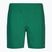 Men's Nike Essential 7" Volley bicoastal swim shorts