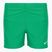 Nike Essential 4" Volley stadium green children's swim shorts