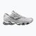 Shoes Mizuno Wave Prophecy LS cloudscape/white/silver