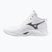 Volleyball shoes Mizuno Wave Momentum Pro Mid white/metallic gray/black