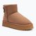 Women's O'Neill Besiana Platform Mid warm taupe snow boots